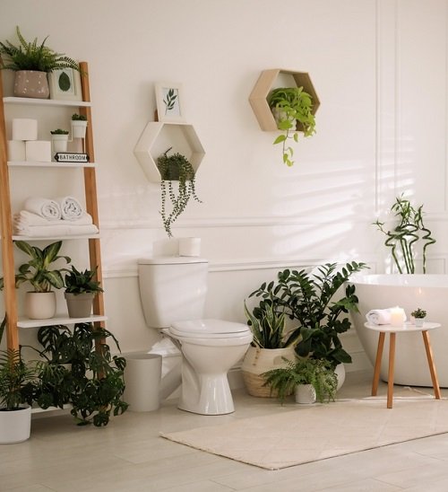 Plants Around Toilet Seat in the Bathroom 15