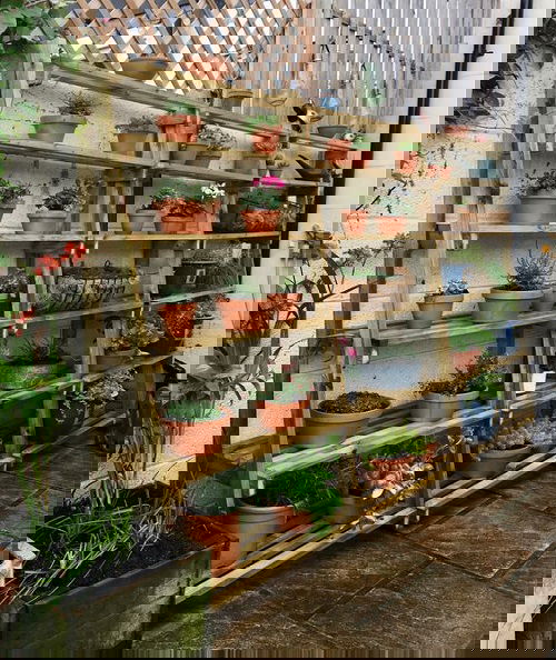 Greenhouse Shelving Ladder Shelving
