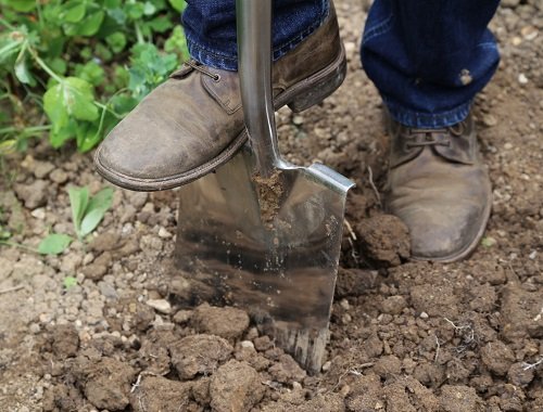 Signs that Show Your Soil is Bad 15
