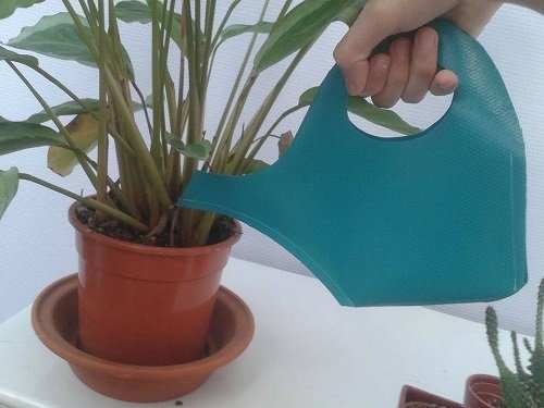 DIY Indoor Plant Watering Can 1