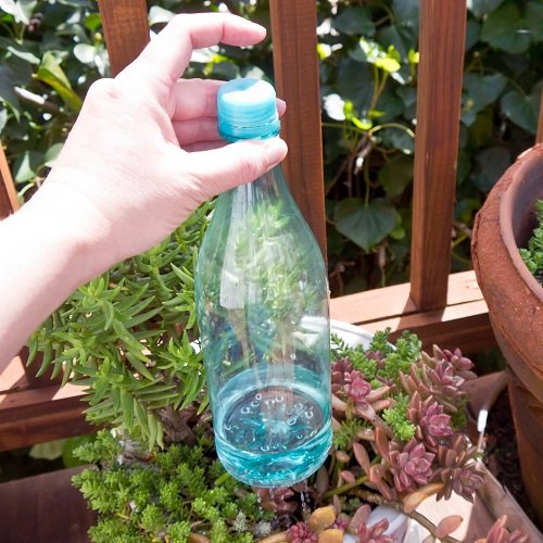 DIY Indoor Plant Watering Can 5